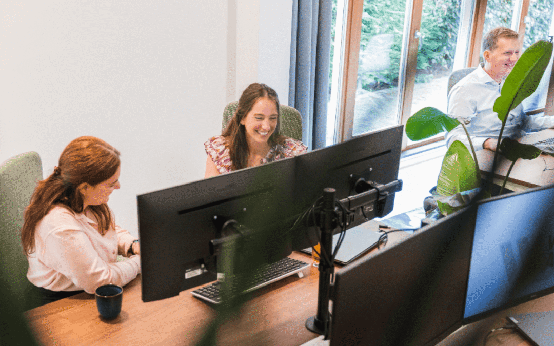 Essentiële Inzichten over de wettelijke controleplicht i.c.m. grootte criteria van de jaarrekening