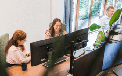 Essentiële Inzichten over de wettelijke controleplicht i.c.m. grootte criteria van de jaarrekening